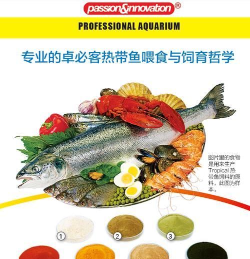 斗鱼苗的饲料选择有哪些？如何确保营养均衡？