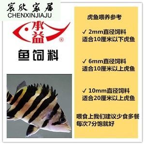 印尼三纹虎鱼最佳饲料选择（三纹虎鱼饲料搭配比例,冷冻饵料训食步骤详解） 龙鱼疾病与治疗 第3张