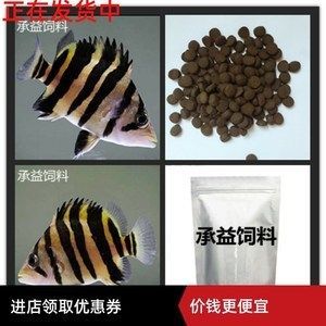 印尼三纹虎鱼最佳饲料选择（三纹虎鱼饲料搭配比例,冷冻饵料训食步骤详解） 龙鱼疾病与治疗 第5张