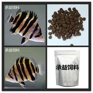 印尼三纹虎鱼最佳饲料选择（三纹虎鱼饲料搭配比例,冷冻饵料训食步骤详解） 龙鱼疾病与治疗 第4张