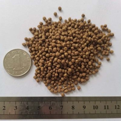 伊巴卡鱼饲料品牌推荐（伊巴卡鱼混养饲料选择应当综合考虑其饮食习惯和营养需求） 龙鱼疾病与治疗 第1张