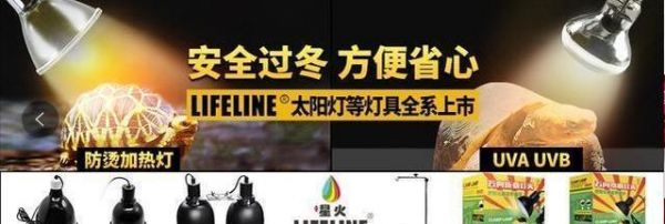 龙猫正确的饲养方法你做对了几条？