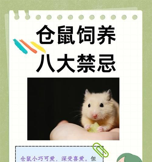 仓鼠不吃猫吃过的猫粮怎么办？如何让仓鼠接受猫粮？