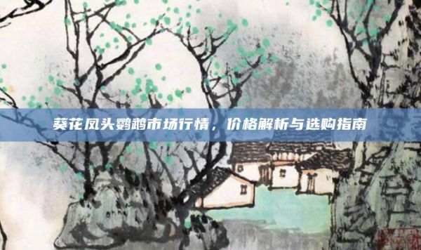 葵花凤头鹦鹉市场行情,价格解析与选购指南