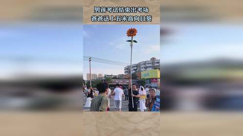 男孩考试结束出考场，爸爸送上五米高向日葵