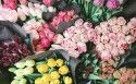 唯美靓丽的鲜花和花束图片