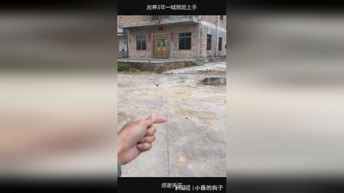 放养3年一喊就能上手