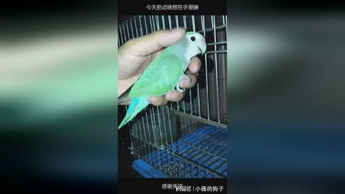 今天拍点啥想在手里睡