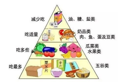 宠物饮食管理指南：科学喂食，健康相伴