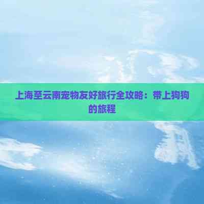 上海至云南宠物友好旅行全攻略：带上狗狗的旅程