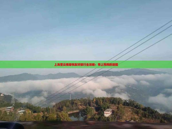 上海至云南宠物友好旅行全攻略：带上狗狗的旅程