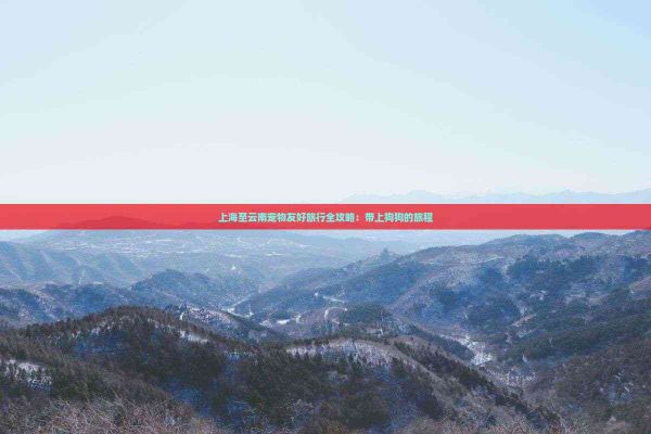 上海至云南宠物友好旅行全攻略：带上狗狗的旅程