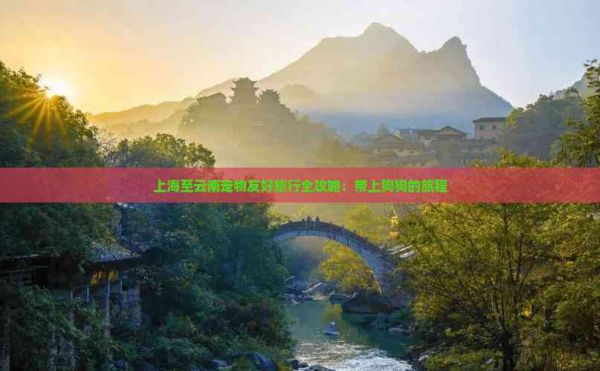 上海至云南宠物友好旅行全攻略：带上狗狗的旅程