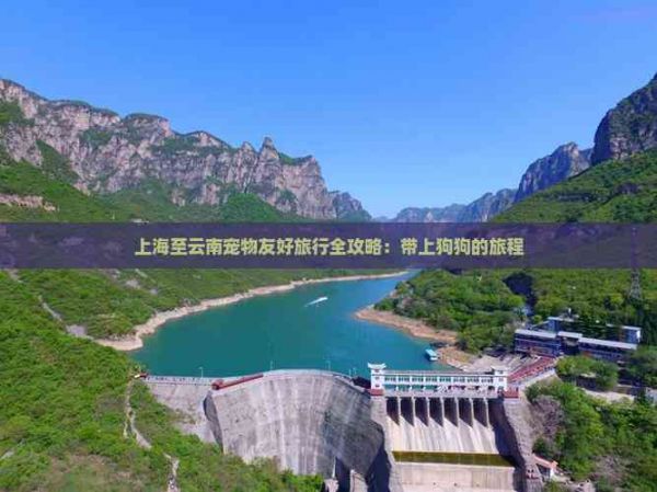 上海至云南宠物友好旅行全攻略：带上狗狗的旅程