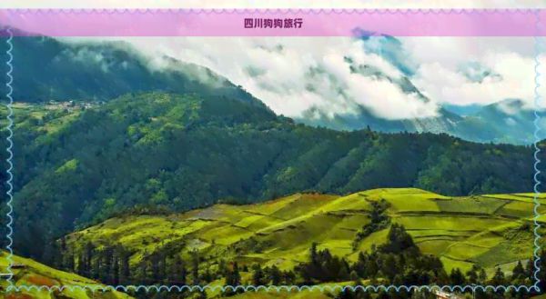 四川狗狗旅行