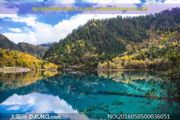 四川宠物友好旅行目的地：带上狗狗一起探索的自然风光与文化古迹