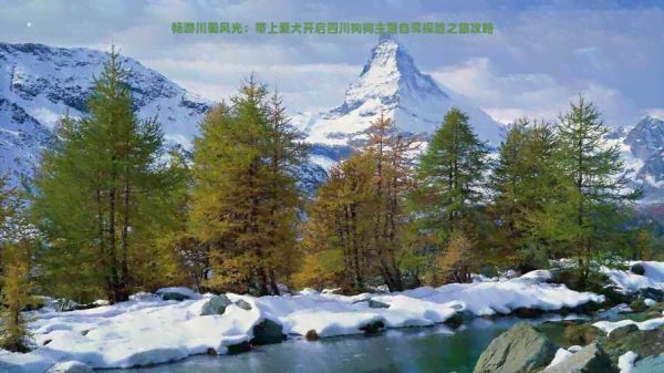 畅游川蜀风光：带上爱犬开启四川狗狗主题自驾探险之旅攻略