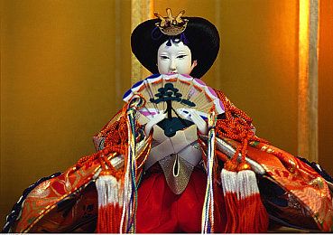 猫咪社区官方网页：全新猫咪社区网页上线，爱猫人士互动新体验-2