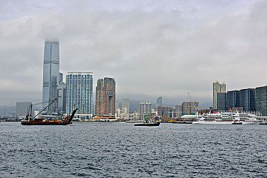 猫咪社区官方网页：全新猫咪社区网页上线，爱猫人士互动新体验-3