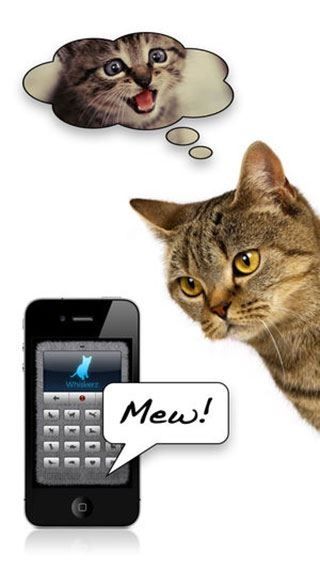 human to cat(人猫交流器)图片1