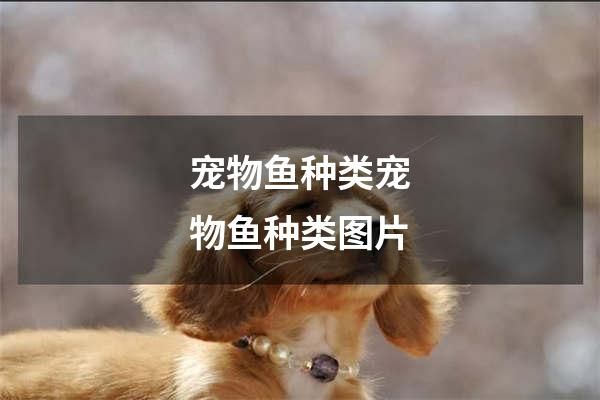 宠物鱼种类宠物鱼种类图片