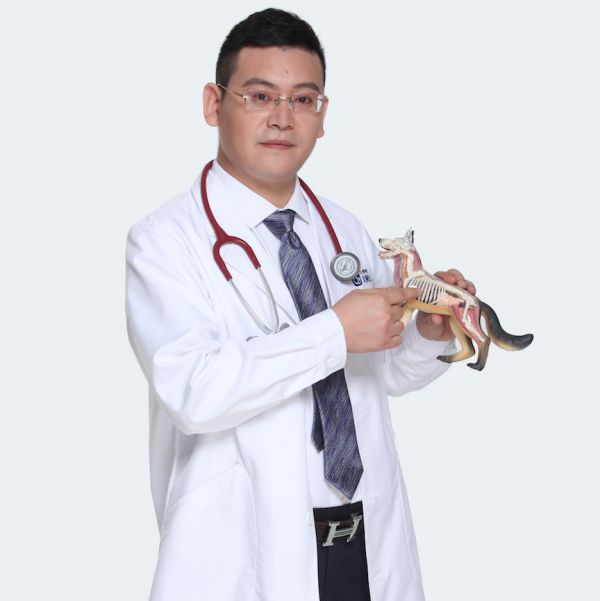 高晓刚