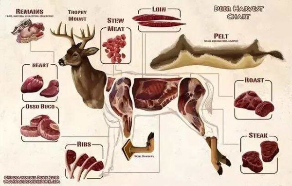 老外在网上问中国人为什么吃狗肉，中国妹子怼得漂亮