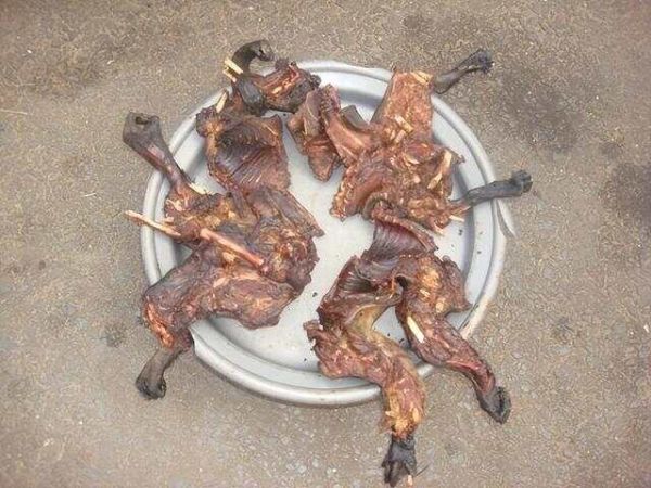 老外在网上问中国人为什么吃狗肉，中国妹子怼得漂亮