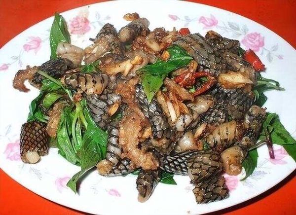 老外在网上问中国人为什么吃狗肉，中国妹子怼得漂亮