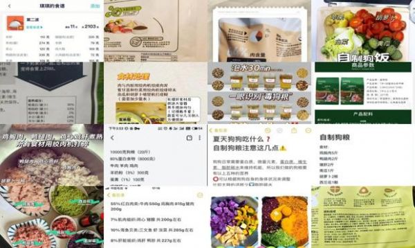 营养狗粮自制配方大全