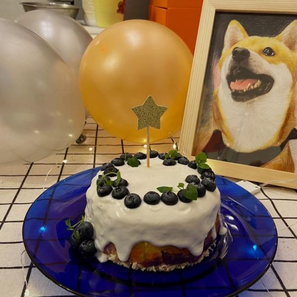 超简单宠物生日蛋糕~狗子适用~的做法