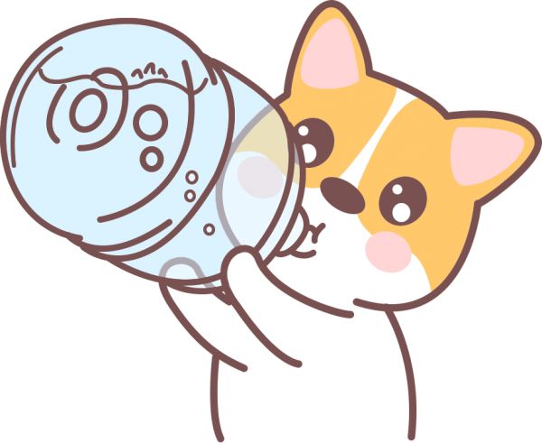 狗狗喝水