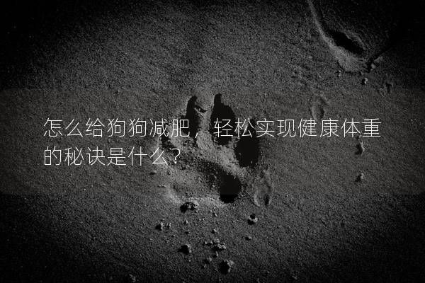 怎么给狗狗减肥，轻松实现健康体重的秘诀是什么？