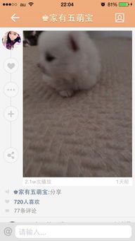 “宠物繁殖周期，了解老鼠生育节奏。”