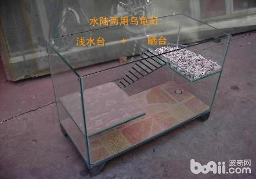 水龟饲养用具之如何选择龟缸