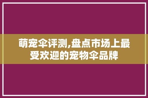 萌宠伞评测,盘点市场上最受欢迎的宠物伞品牌