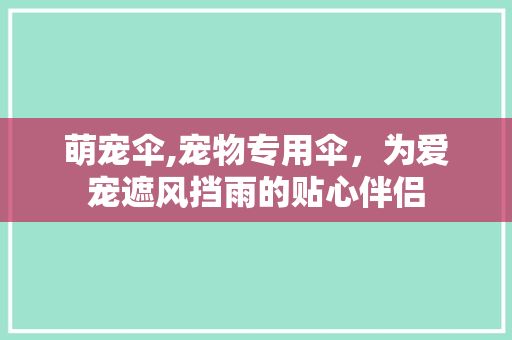 萌宠伞,宠物专用伞，为爱宠遮风挡雨的贴心伴侣