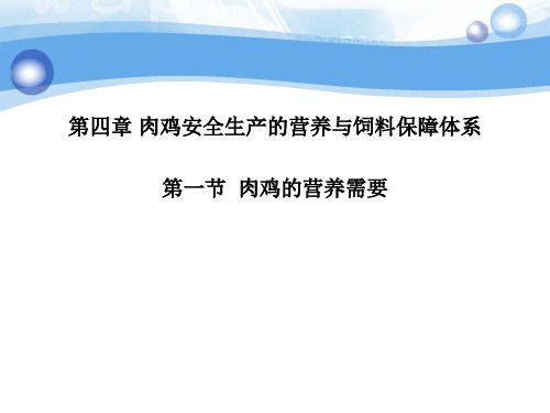 肉鸡的饲养标准