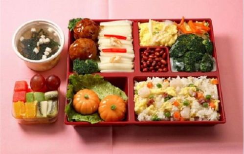 宠物饮食指南:健康快乐,营养满分