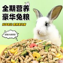 深深宠饲料成兔粮荷兰猪