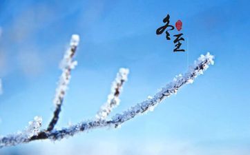 鼠和什么属相相合是冲还是合