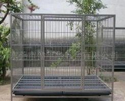 宠物笼选购全攻略:大小、材质、安全兼顾