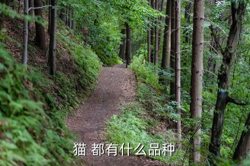 猫 都有什么品种