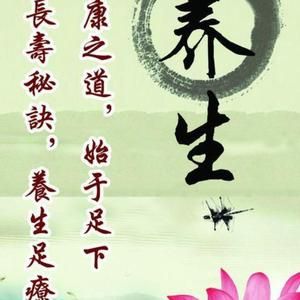 养生食谱头像
