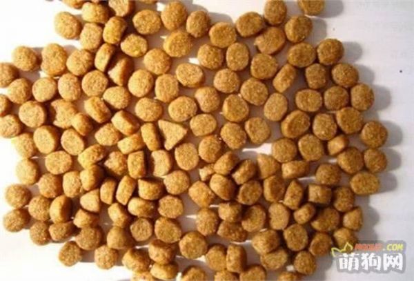 给狗狗换粮食，你一定要了解这些