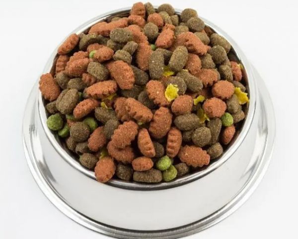 换狗粮的注意事项，这三点主人要记得