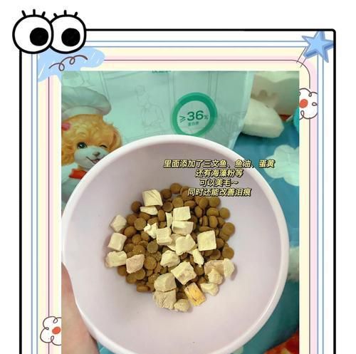 刚接回家的狗需要换粮吗？如何正确更换狗粮？