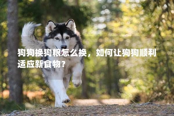 狗狗换狗粮怎么换，如何让狗狗顺利适应新食物？