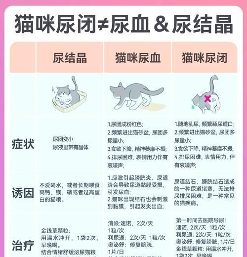 换猫粮便血是什么症状?换猫粮便血的原因和治疗方法是什么?