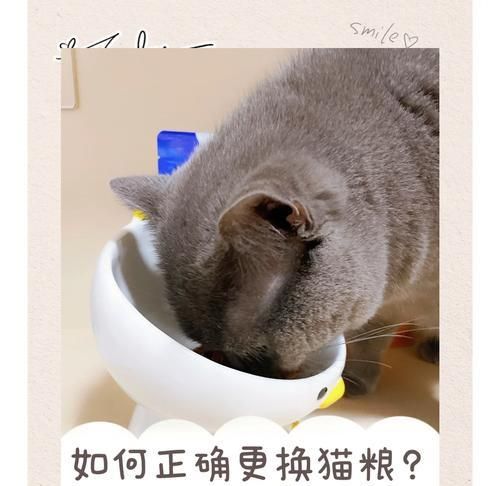 换猫粮后猫食欲下降怎么办?